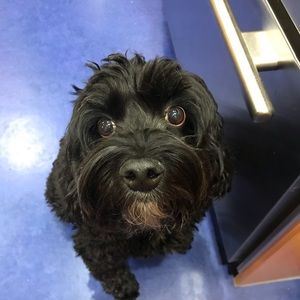 Meet your Posher, Jaclyn